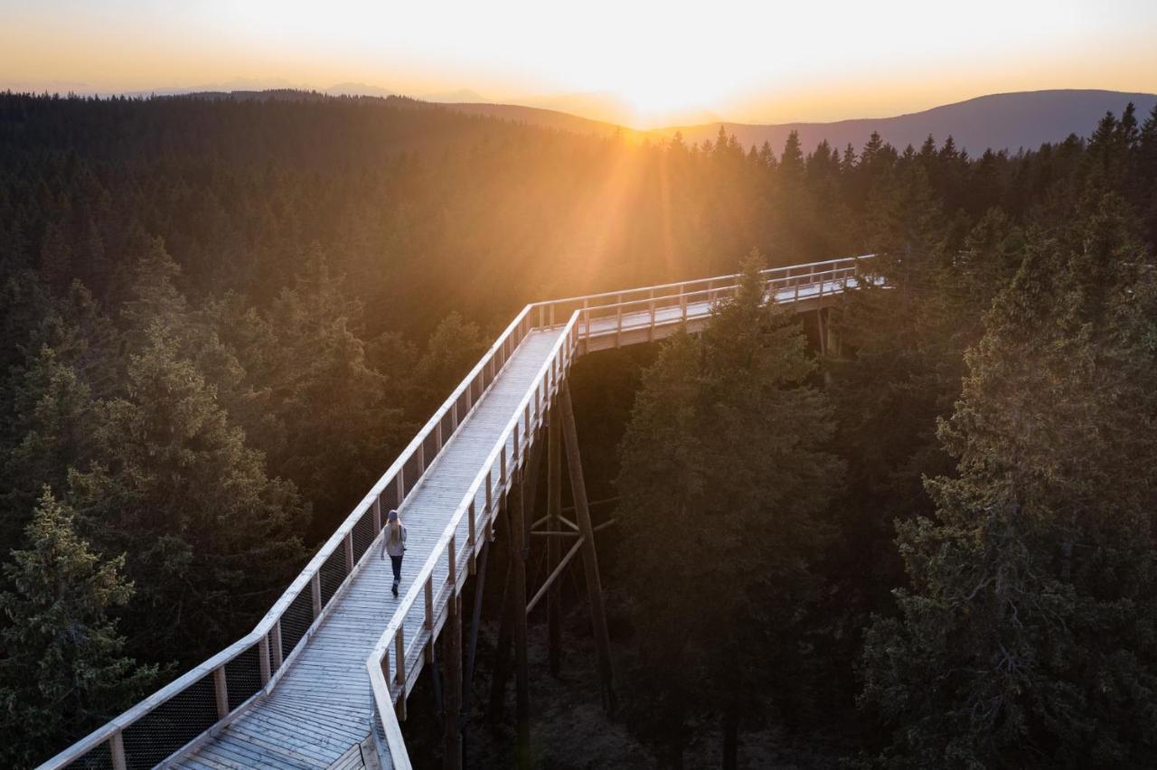 Pohorje Village Wellbeing Resort - Forest Apartments Videc Hočko Pohorje Exterior foto